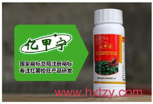 千百季：技术发展的“先锋”
