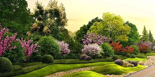 园林草坪，草种大比拼