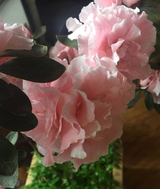 为什么这么贵呢?