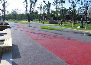 园林中的透水性地面铺装：大自然的脚垫