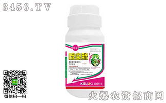 柑橘树花期用药指南：啶虫脒和吡虫啉平安吗？敌敌畏Neng用吗？