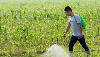 注意事项， 别大意