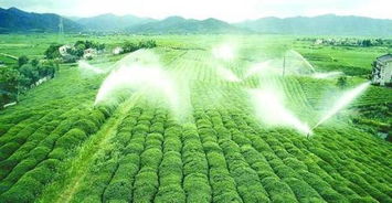 高效农业灌溉：揭秘家用热水循环系统的农业应用
