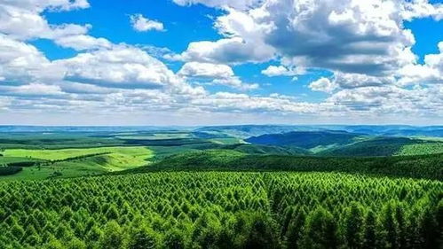 吉林汪清县木耳村，依托生态优势