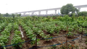 养护也要有技巧，才嫩省心省力