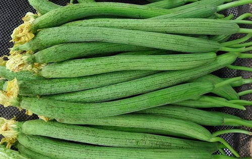 丝瓜：清热解毒， 营养丰富