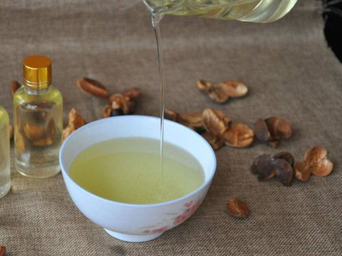 揭秘松达山茶油：一抹鲜香，唤醒味蕾的极致享受！