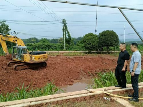 基本农田挖塘养鱼问题