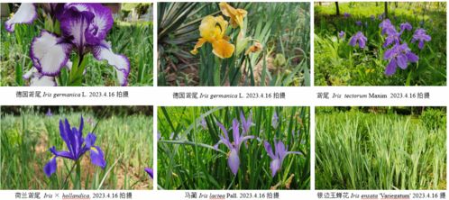 园林学的那些事