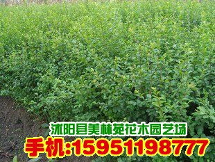 价格背后的故事