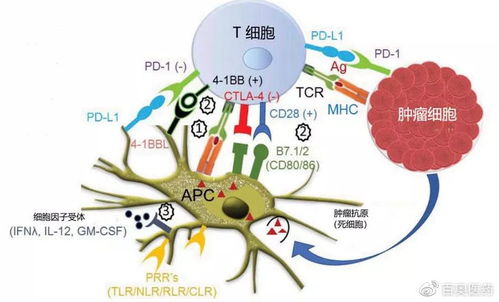 氟环唑和氟硅唑，有何不同？