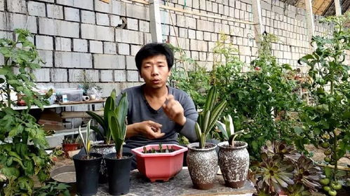 播种前的准备工作