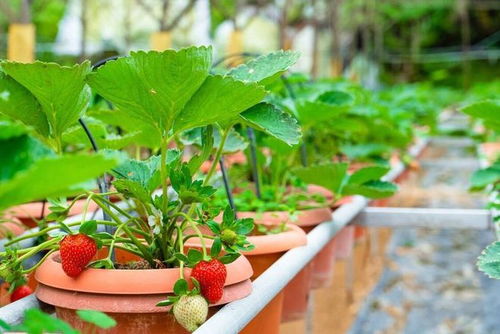 方法三：使用清洁剂