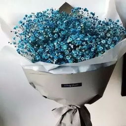 “送满天星有什么特别的寓意和祝福