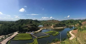 水生植物分类， 记住这些特点