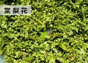 食用花卉的品种及其食用价值