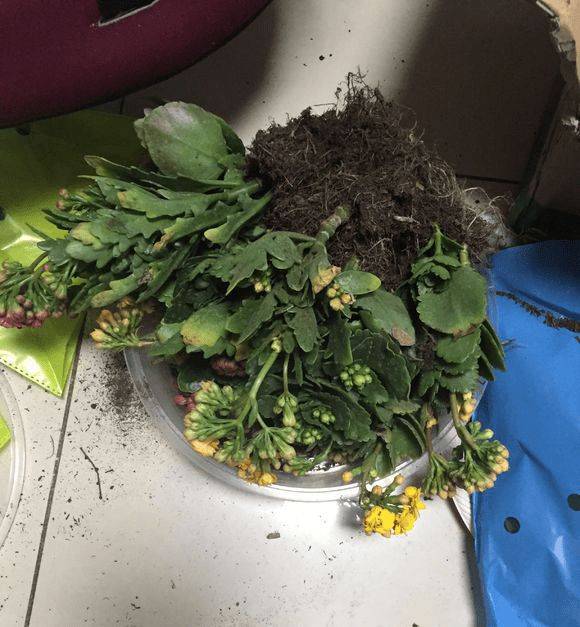 温度湿度也要注意