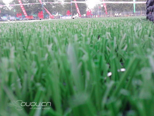 灌溉有技巧：夜间10点， 出籽率提升25%