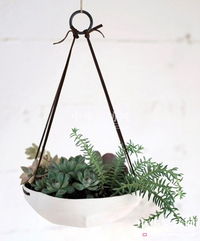 温和型（基本无害）