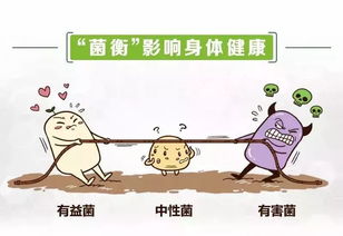 如何通过科学管理让猪群肠道健康如金？