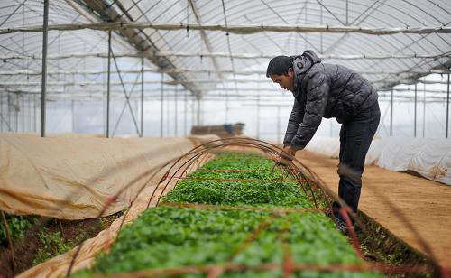 地域温差的影响