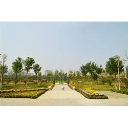 西安绿化施工队：大自然的守护者