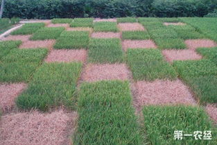 南方的温暖与多雨