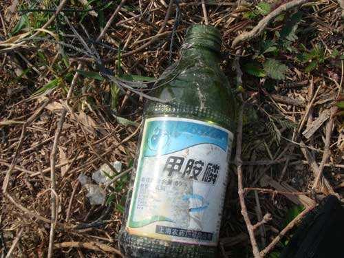 豆角地除草剂的使用技巧