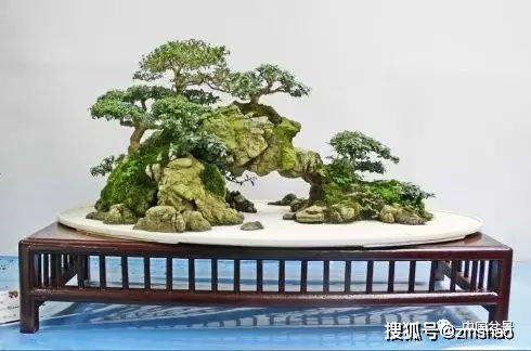 盆景用盆的讲究