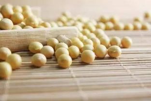 大豆磷脂油和大豆油有什么区别？磷脂油的营养成分和用途有何不同？