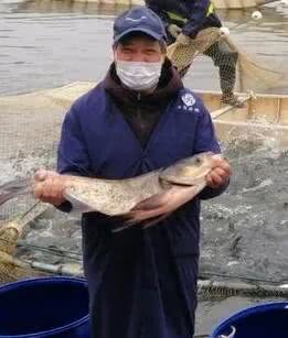 鱼病困扰养殖户，食盐可助一臂之力