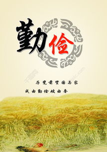 小白菜精神：坚守初心