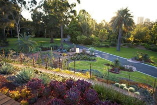 皇家植物园的奇花异草：历史的见证