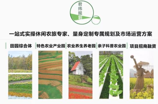 杨国峰倡导：激活家乡老油茶林，焕发新生机！