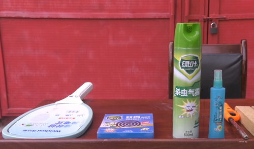 杀虫剂：果蝇的克星还是隐患？