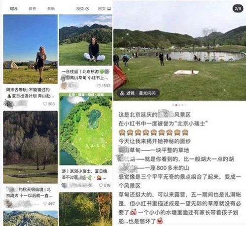 九月份种草南北品种避坑指南：新手选种实测对比