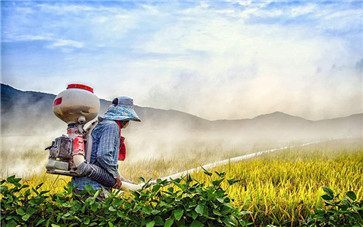 农药厂的环保之路