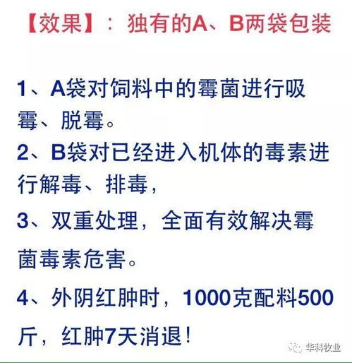霉菌毒素严重影响猪繁殖性能