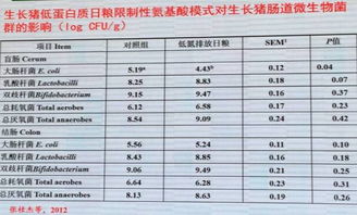 低蛋白日粮如何通过净Neng体系实现高效利用的大变革？