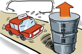 养一只奶牛需要多少钱？从基础成本到日常开销