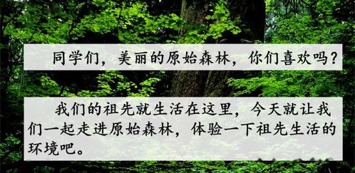 松柏长青的柏怎么读？