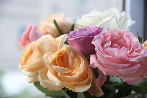 插法讲究，就像教花儿Zuo家务