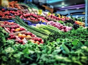 三、 土豆种植时机