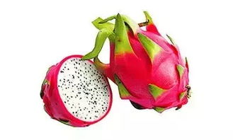 火龙果：大自然的甜蜜馈赠