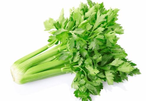 农药泡水，要选哪种呢？