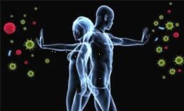 优化猪肠道菌群，维护微生态平衡