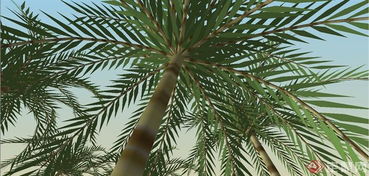 失败案例：武汉张哥的播种教训