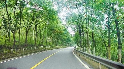 生态缓冲带的作用