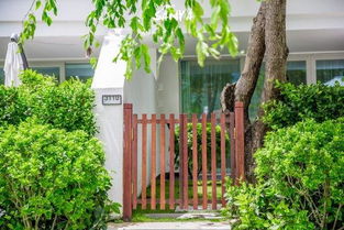 1、 橘树，即桔树