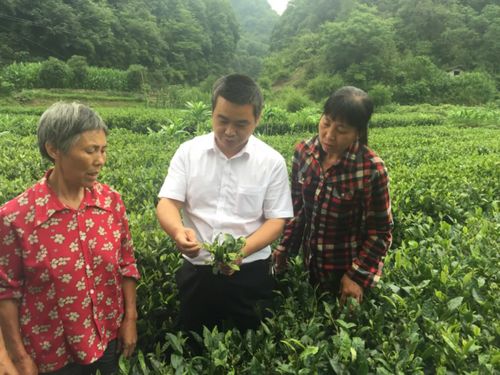 施肥，给营养的保障